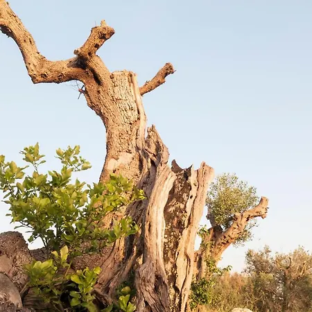 Apartmán La Nicchia-trullo *