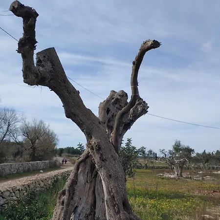 La Nicchia-trullo Corigliano dʼOtranto
