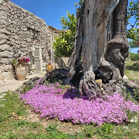 La Nicchia-trullo * Corigliano dʼOtranto