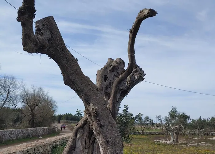 La Nicchia-trullo Corigliano dʼOtranto
