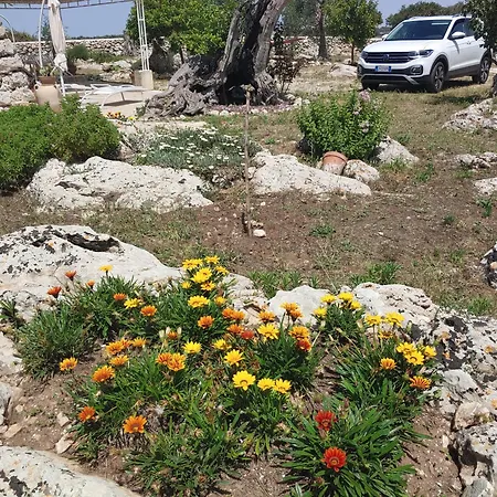 La Nicchia-trullo 아파트 Corigliano dʼOtranto
